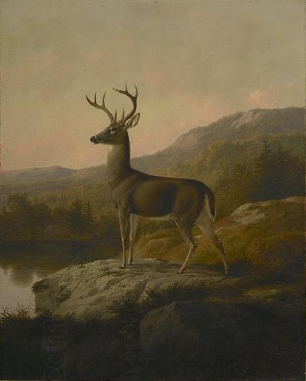 unknow artist Deer China oil painting art